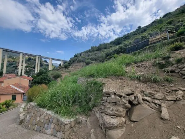 Vigneto via Anacleto Hughes 22/a, Ventimiglia