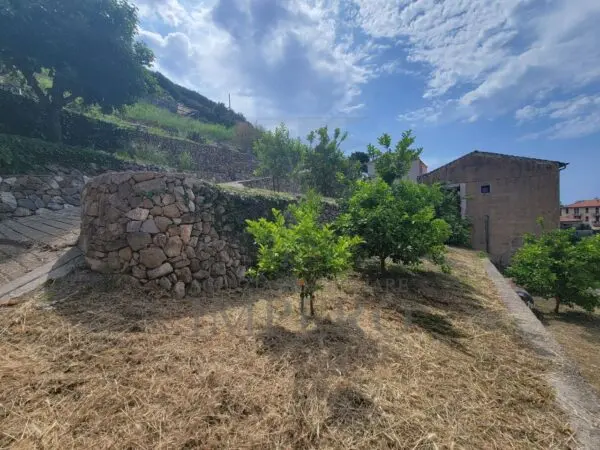 Vigneto via Anacleto Hughes 22/a, Ventimiglia