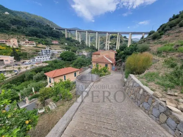 Vigneto via Anacleto Hughes 22/a, Ventimiglia