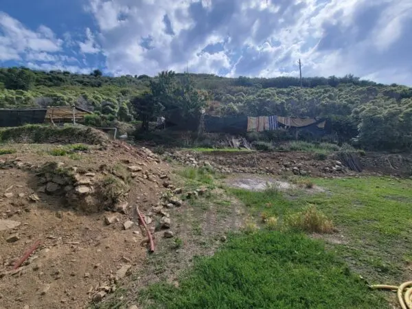 Vigneto via Anacleto Hughes 22/a, Ventimiglia