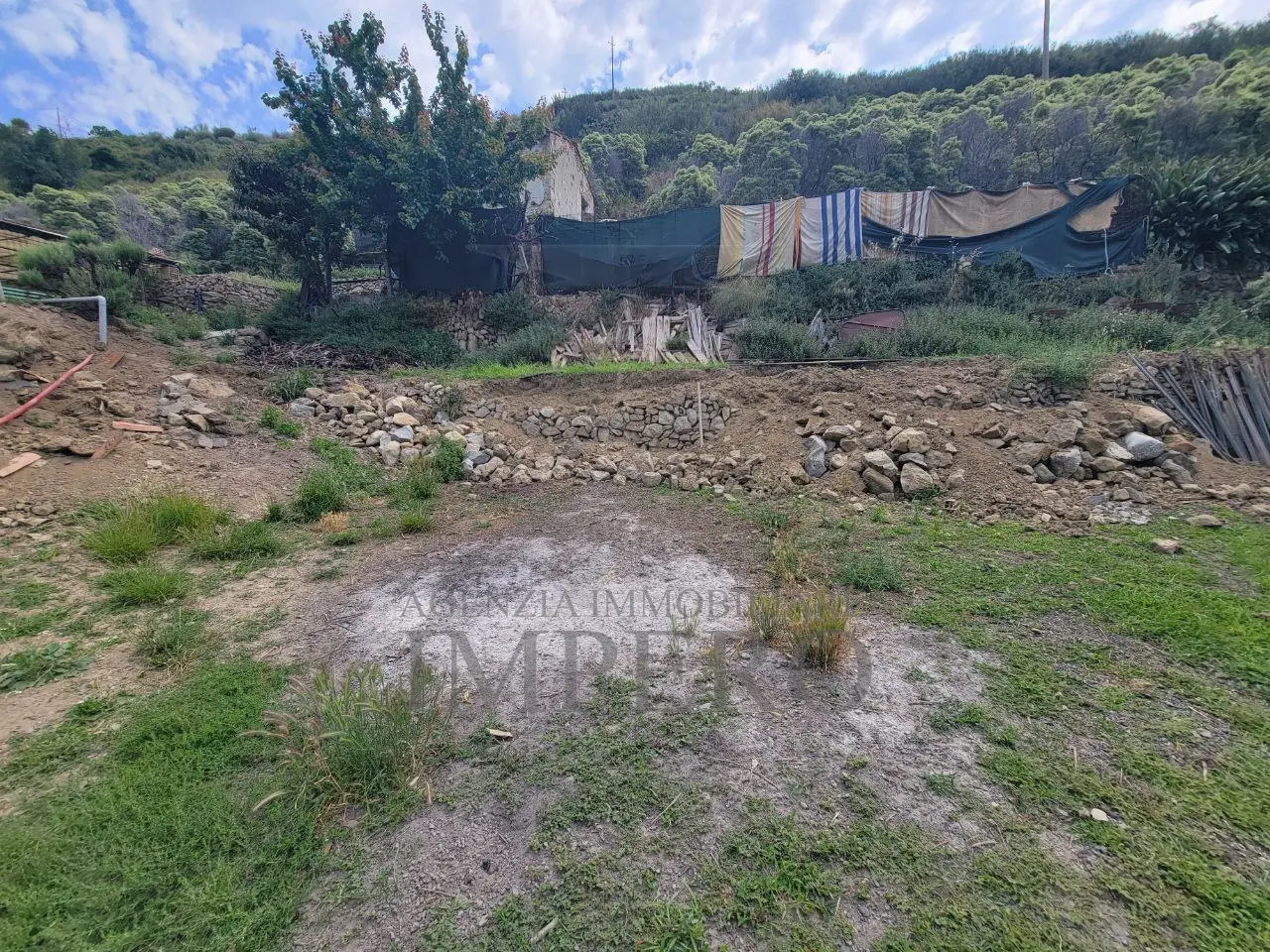 Immagine per Vigneto in vendita a Ventimiglia via Anacleto Hughes 22/A