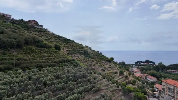 Vigneto via Anacleto Hughes 22/a, Ventimiglia