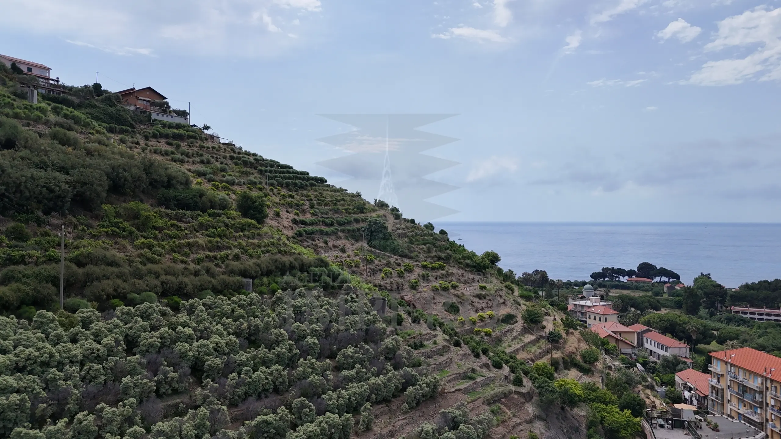 Immagine per Vigneto in vendita a Ventimiglia via Anacleto Hughes 22/A