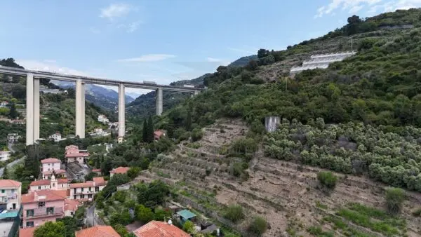 Vigneto via Anacleto Hughes 22/a, Ventimiglia