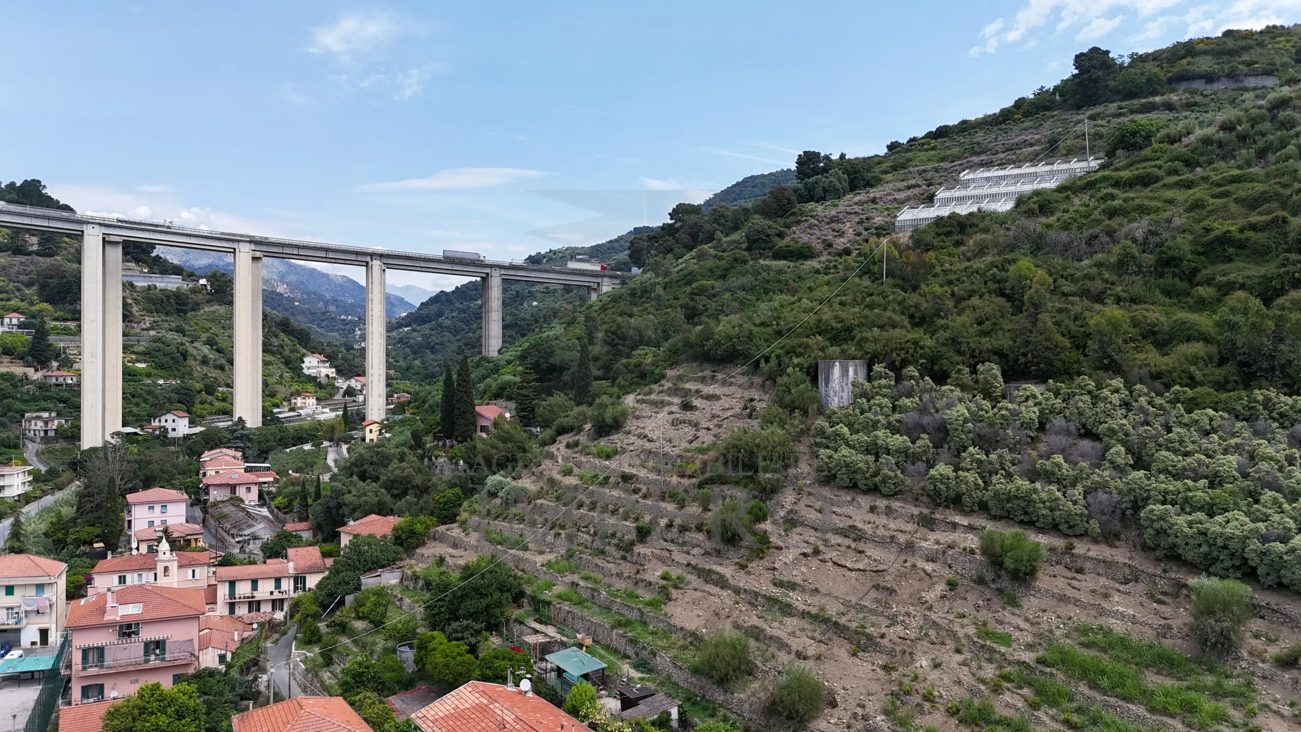 Immagine per Vigneto in vendita a Ventimiglia via Anacleto Hughes 22/A