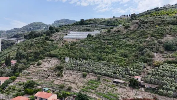 Vigneto via Anacleto Hughes 22/a, Ventimiglia