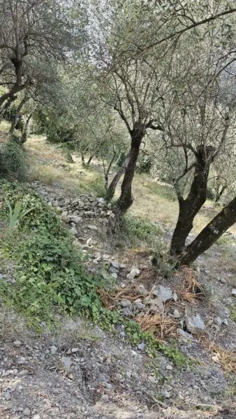 Rustico via Località Para, Airole