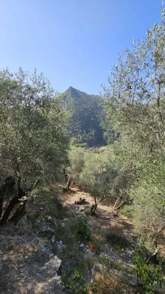 Rustico via Località Para, Airole