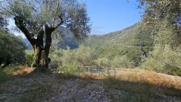 Rustico via Località Para, Airole