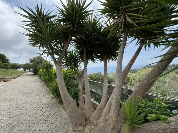 Villa Bifamiliare via Gramegna 7, Castellaro