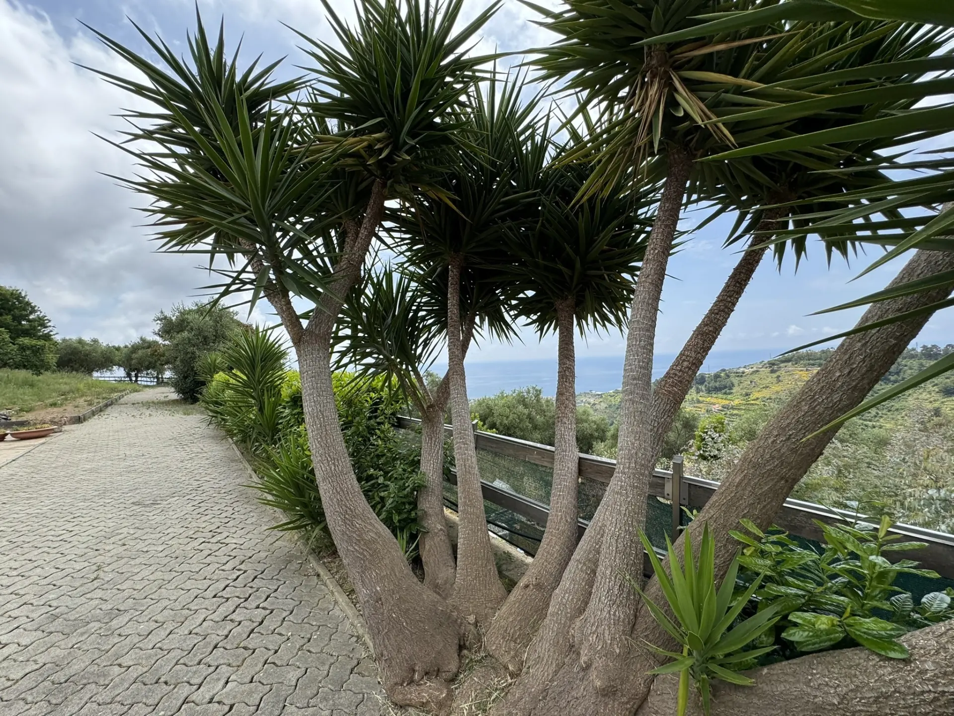 Immagine per Villa bifamiliare in vendita a Castellaro via Gramegna 7