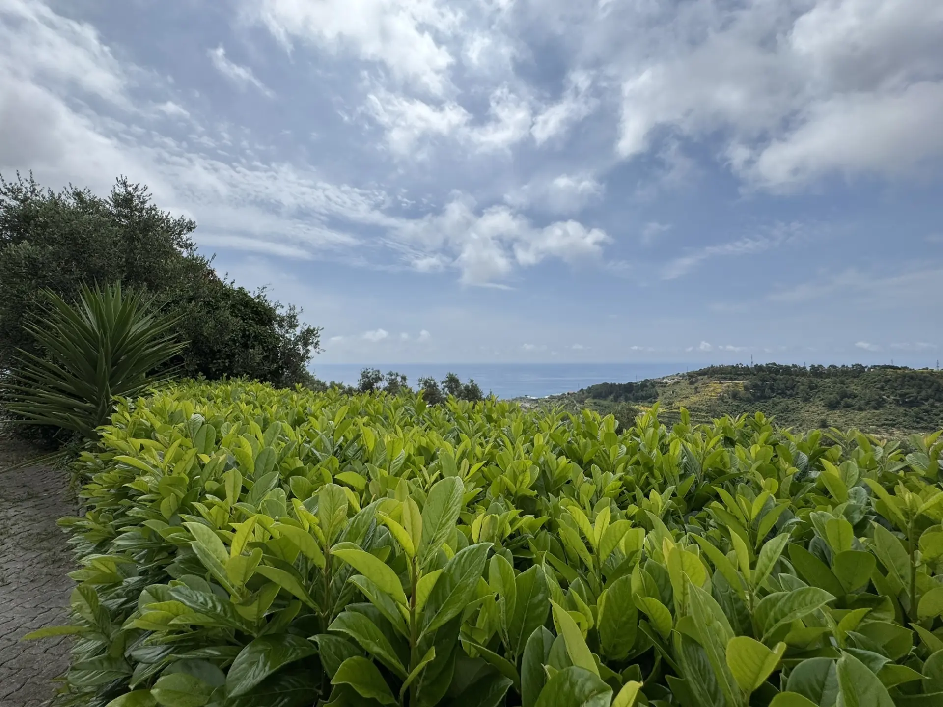 Immagine per Villa bifamiliare in vendita a Castellaro via Gramegna 7