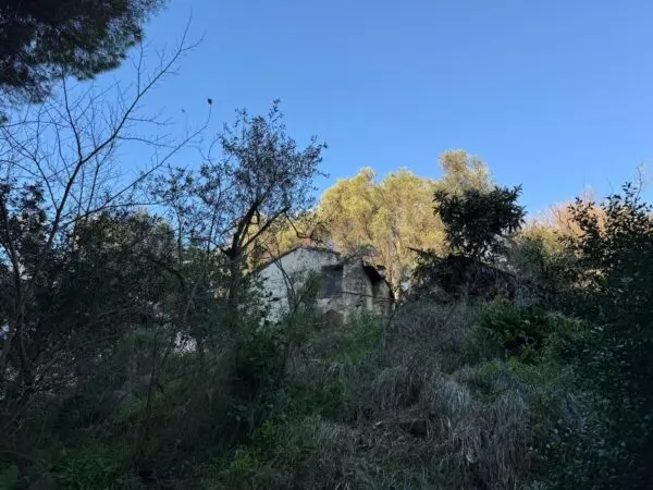 Rustico 185, Sanremo