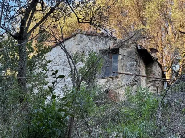 Rustico 185, Sanremo