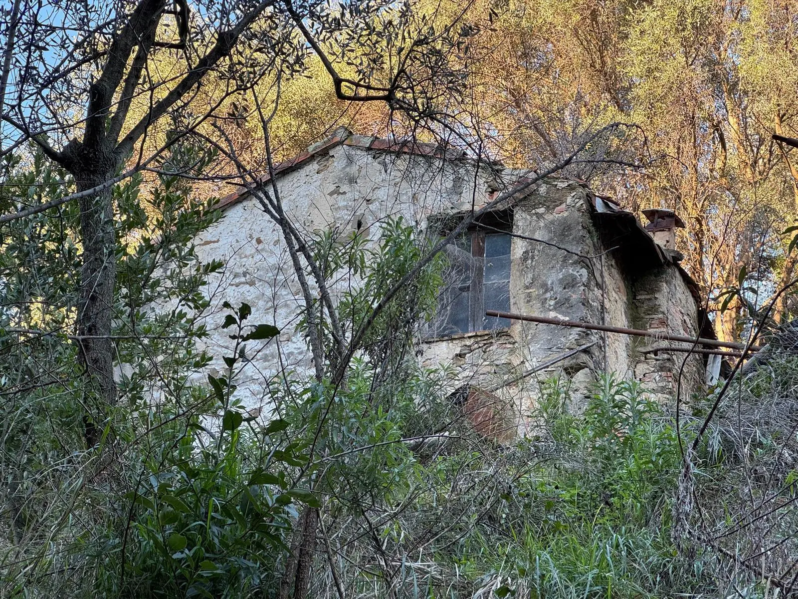 Immagine per Rustico in vendita a Sanremo 185