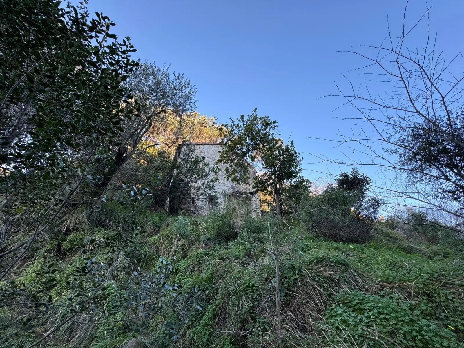 Immagine per Rustico in vendita a Sanremo 185
