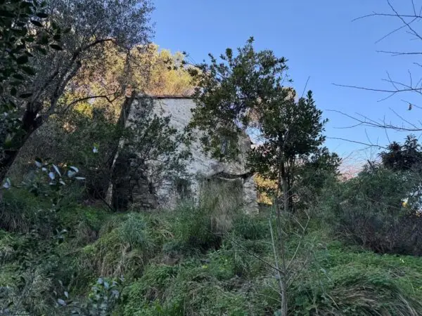 Rustico 185, Sanremo