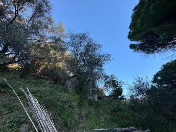 Rustico 185, Sanremo