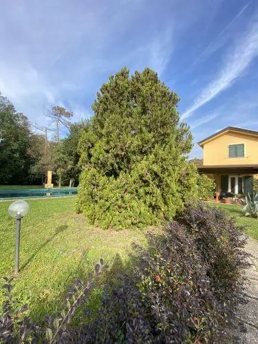 Villa via Palvotrisia 38, Castelnuovo Magra