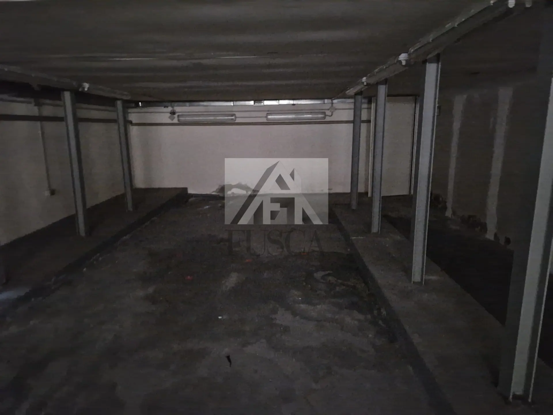 Immagine per Area verde in affitto a Lucca via Puccetti