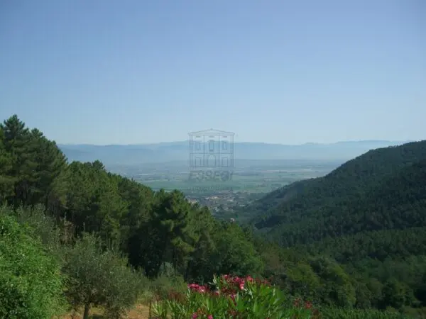 Casale via Don Aldo Mei, Buti