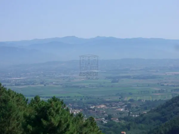 Casale via Don Aldo Mei, Buti