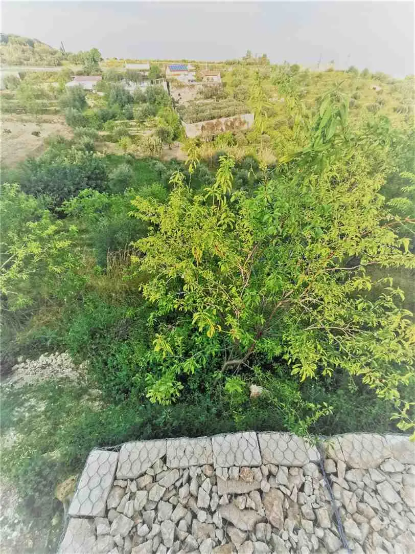 Immagine per Villa in vendita a Noto