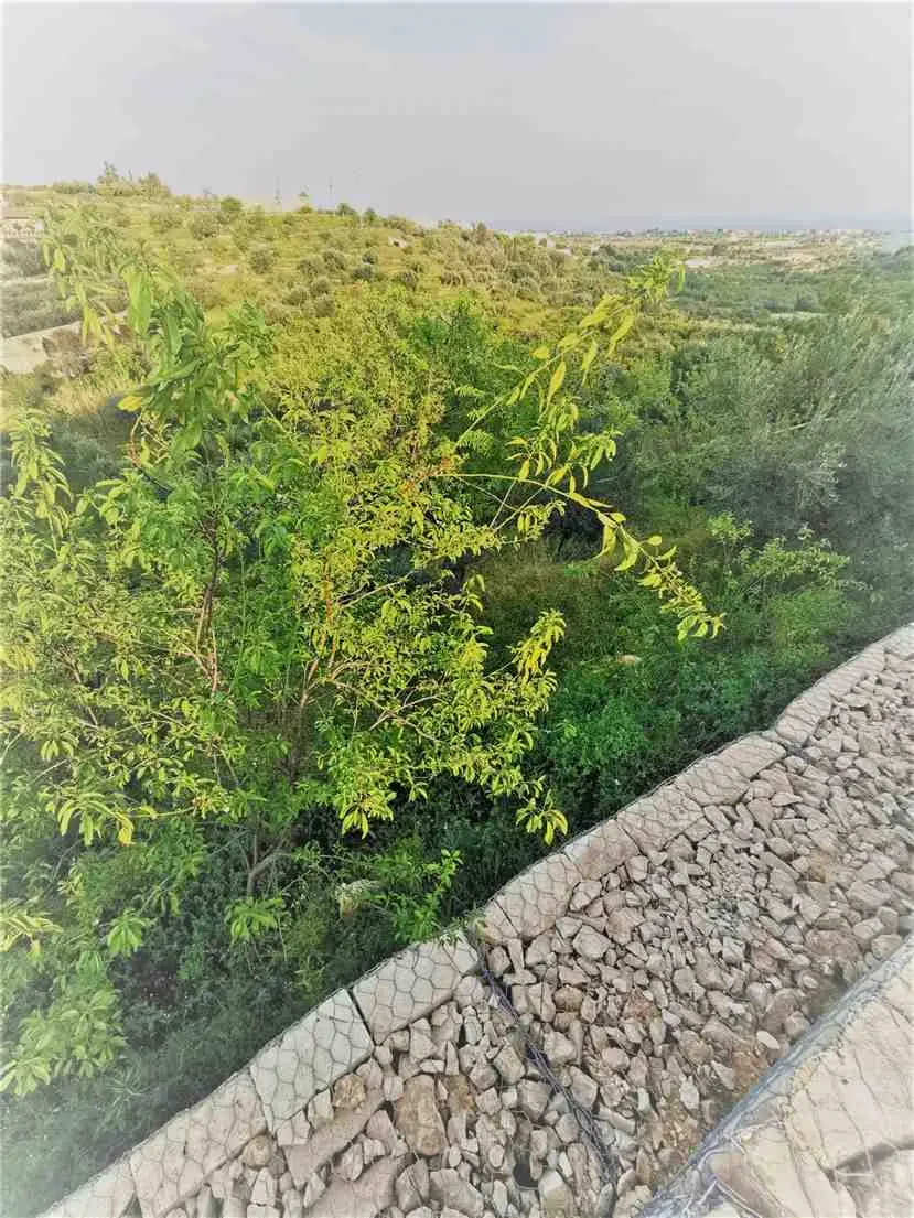 Immagine per Villa in vendita a Noto