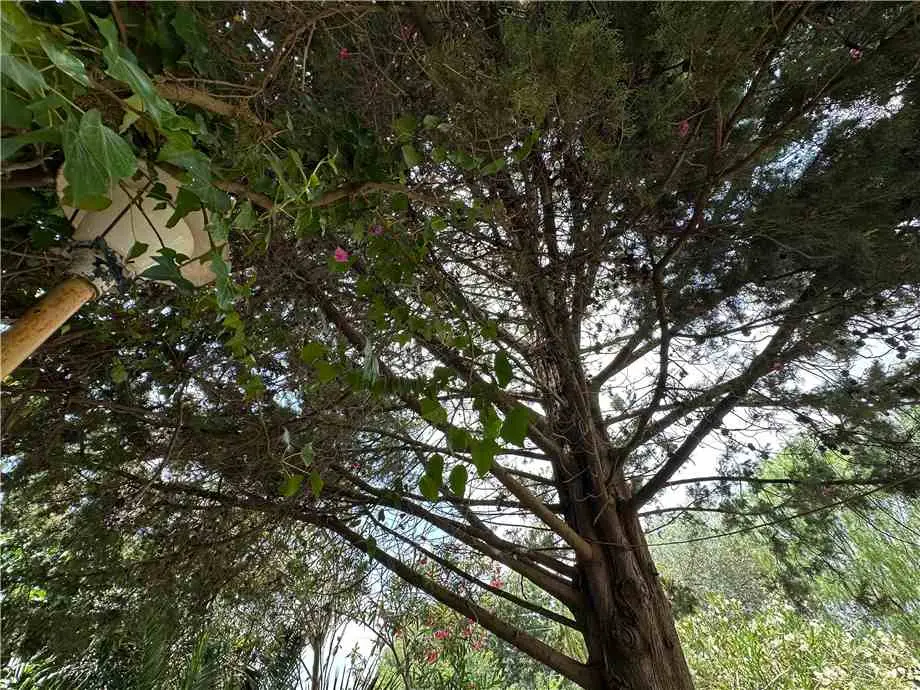 Immagine per Villa in vendita a Noto