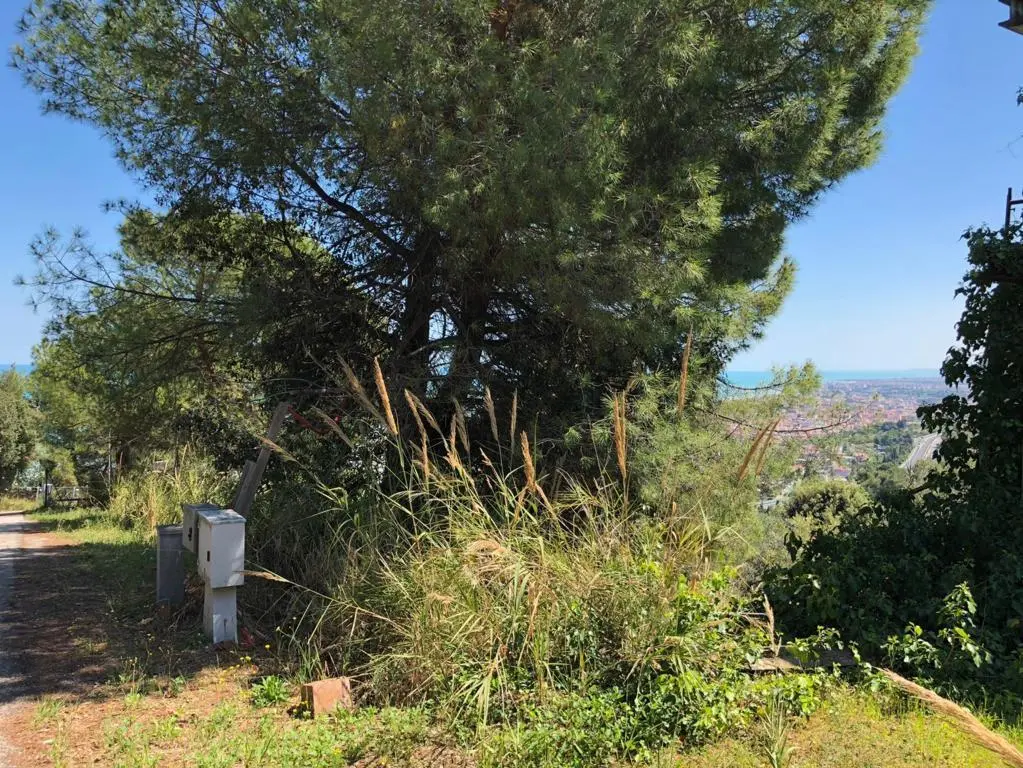 Immagine per Industriale in vendita a Grottammare strada Comunale Montesecco