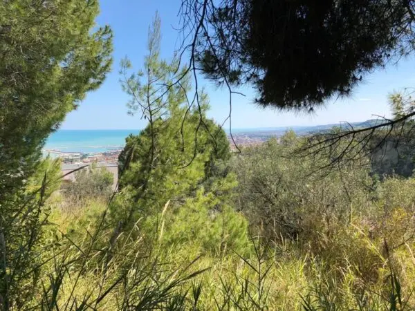 Industriale strada Comunale Montesecco, Grottammare