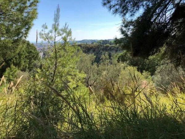Immagine per Industriale in vendita a Grottammare strada Comunale Montesecco