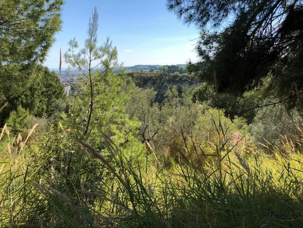 Immagine per Industriale in vendita a Grottammare strada Comunale Montesecco