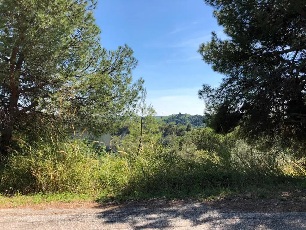 Immagine per Industriale in vendita a Grottammare strada Comunale Montesecco