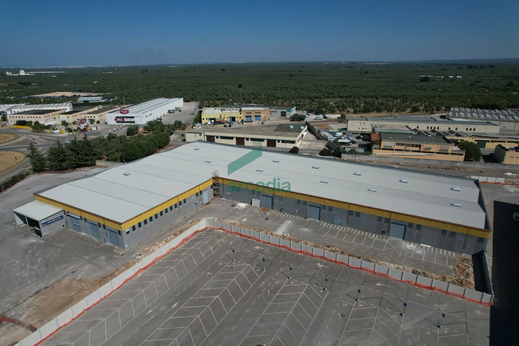 Immagine per Industriale in affitto a Terlizzi via Sp 231