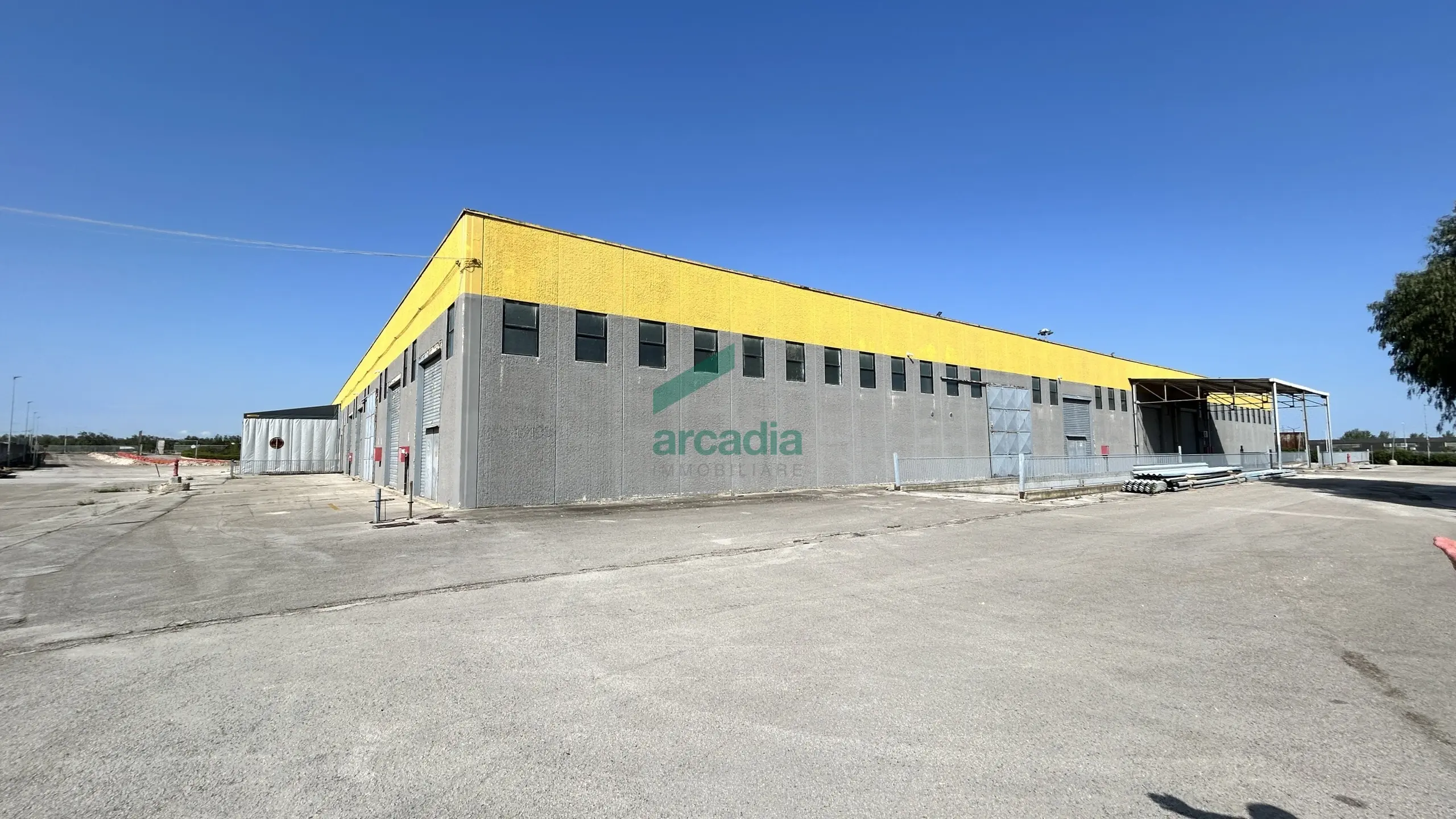 Immagine per Industriale in affitto a Terlizzi via Sp 231