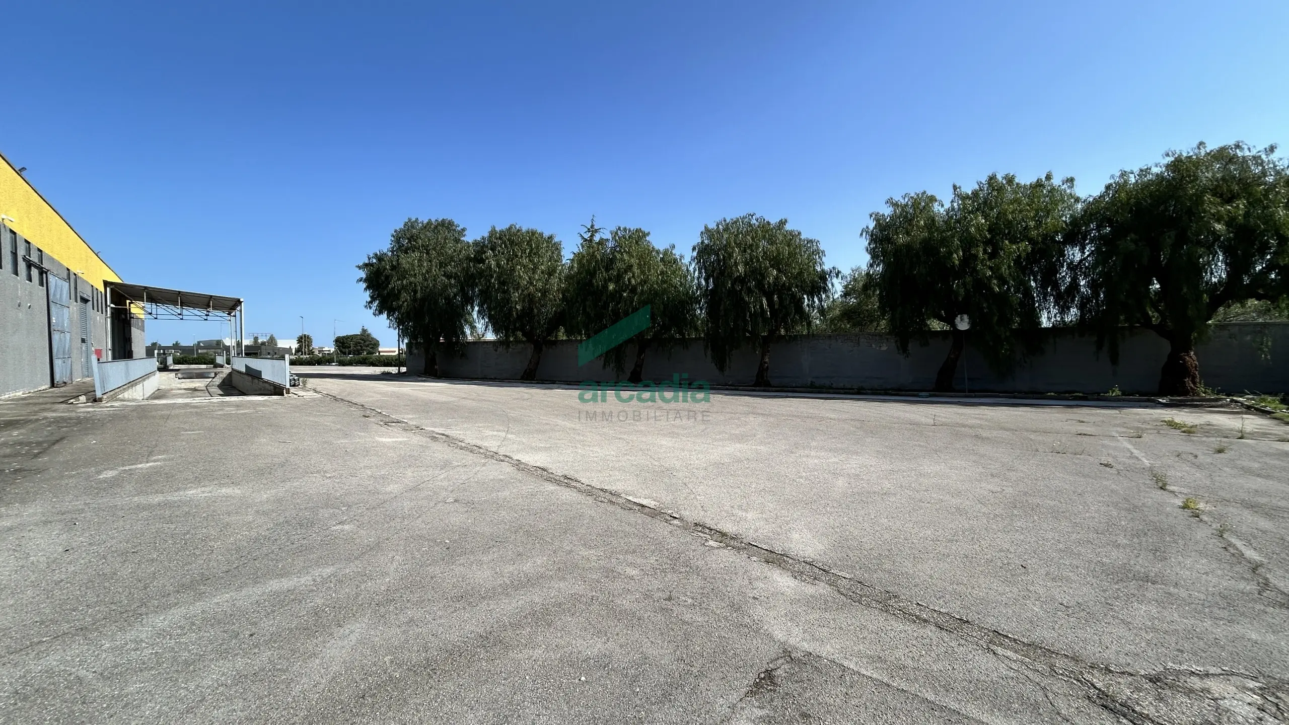 Immagine per Industriale in affitto a Terlizzi via Sp 231