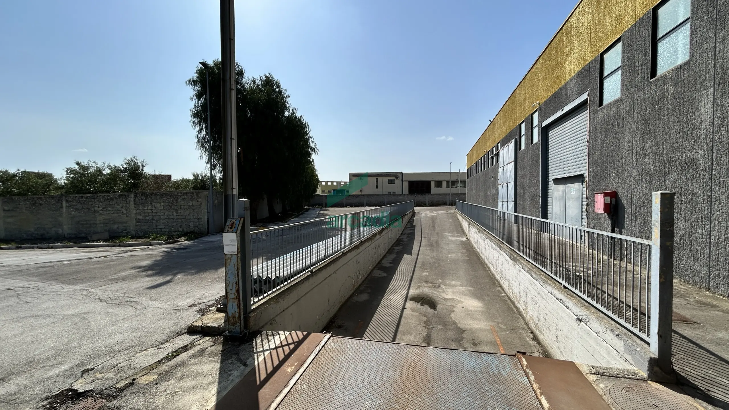 Immagine per Industriale in affitto a Terlizzi via Sp 231