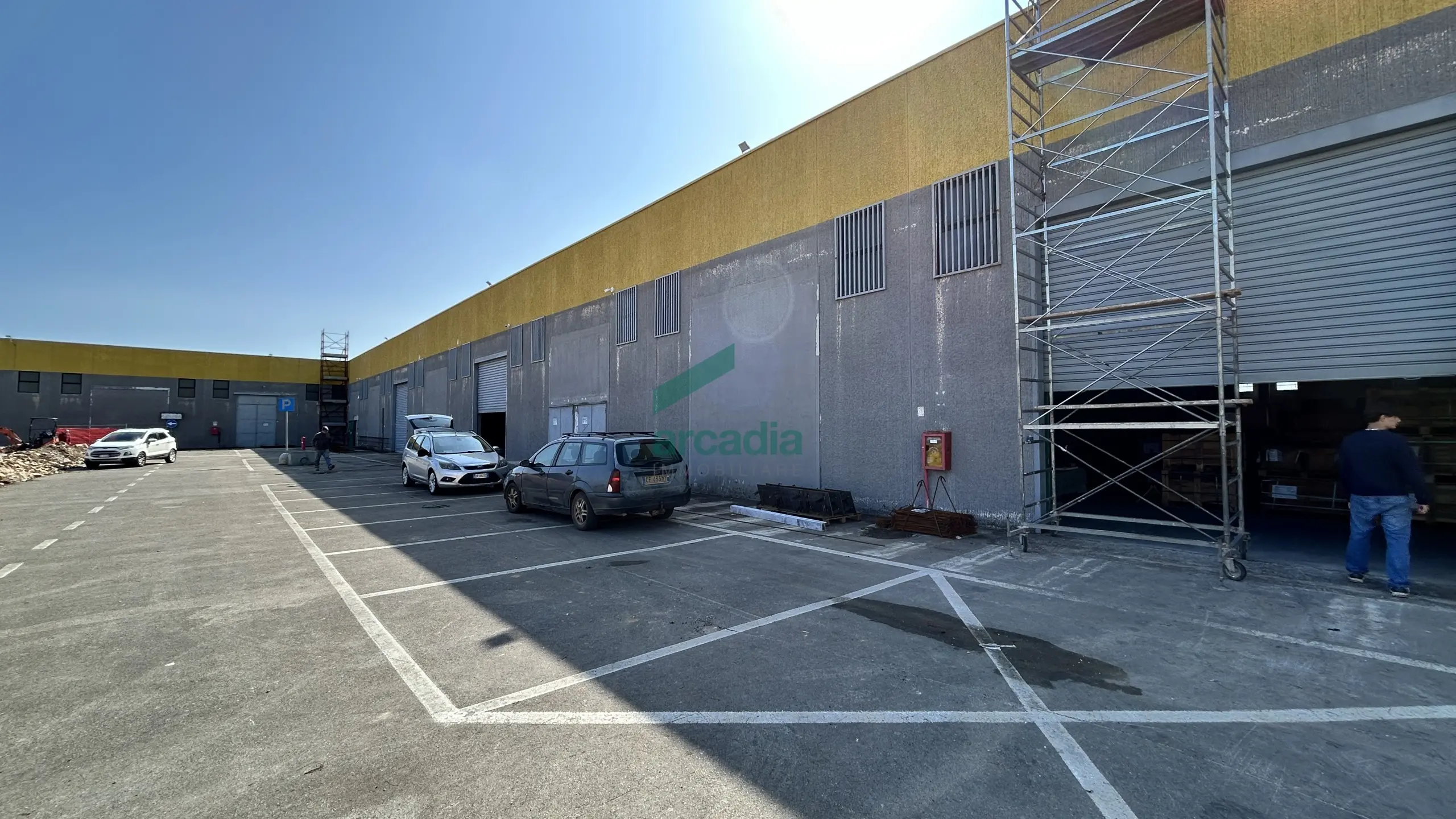 Immagine per Industriale in affitto a Terlizzi via Sp 231