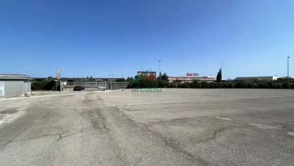 Immagine per Industriale in affitto a Terlizzi via Sp 231