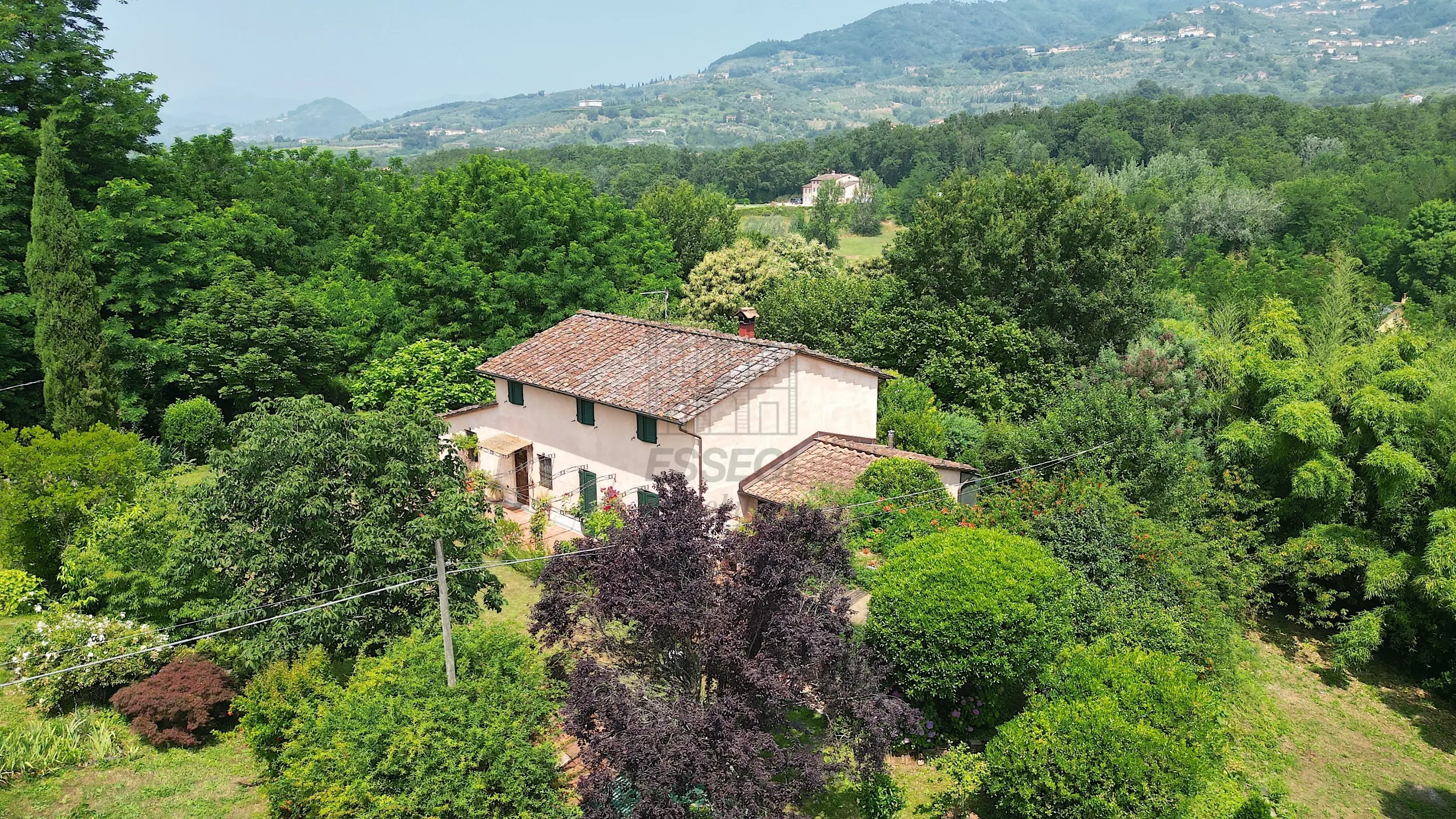 Immagine per Casale in vendita a Capannori via Del Parco 9B