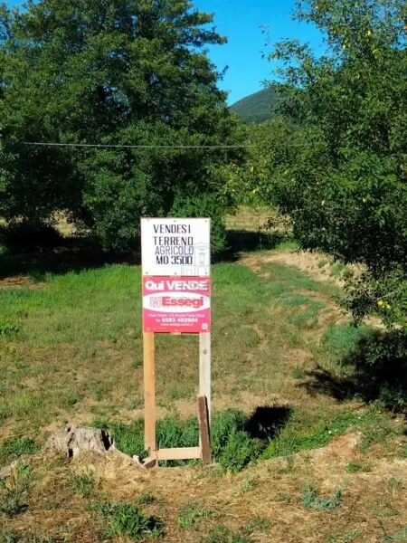 Terreno via Per Chiatri, Lucca