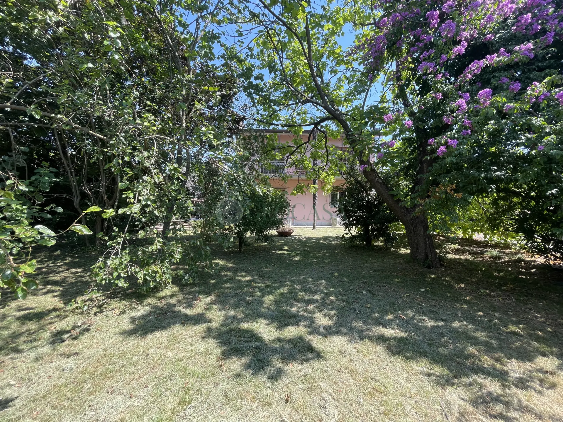 Immagine per Villa in vendita a Sarzana via Bradiola 7