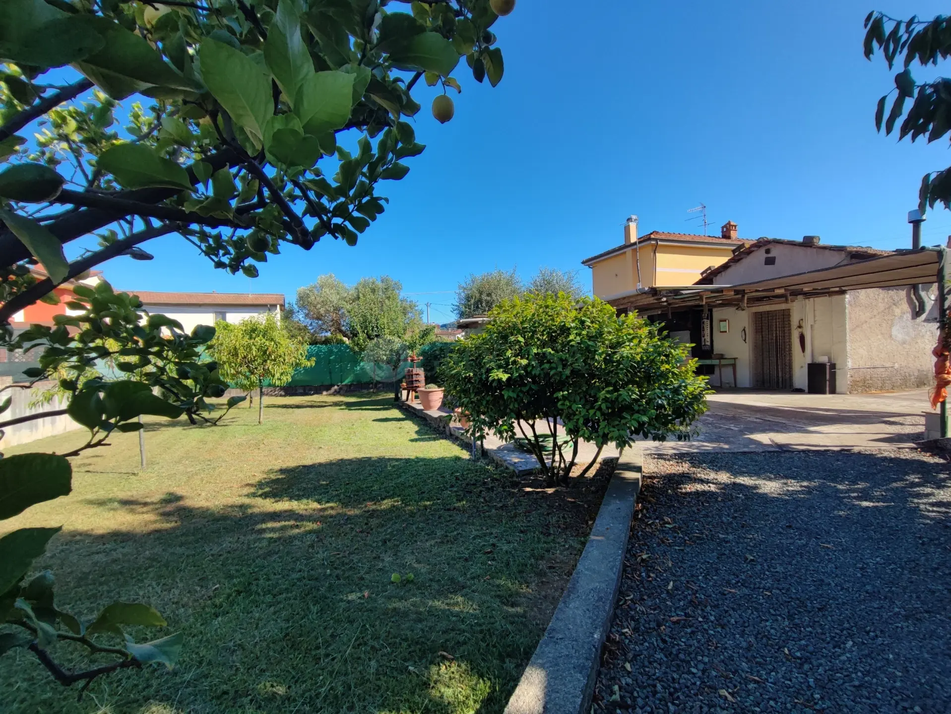 Immagine per Agricolo in vendita a Arcola