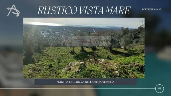 Rustico/Casale via, Pietrasanta