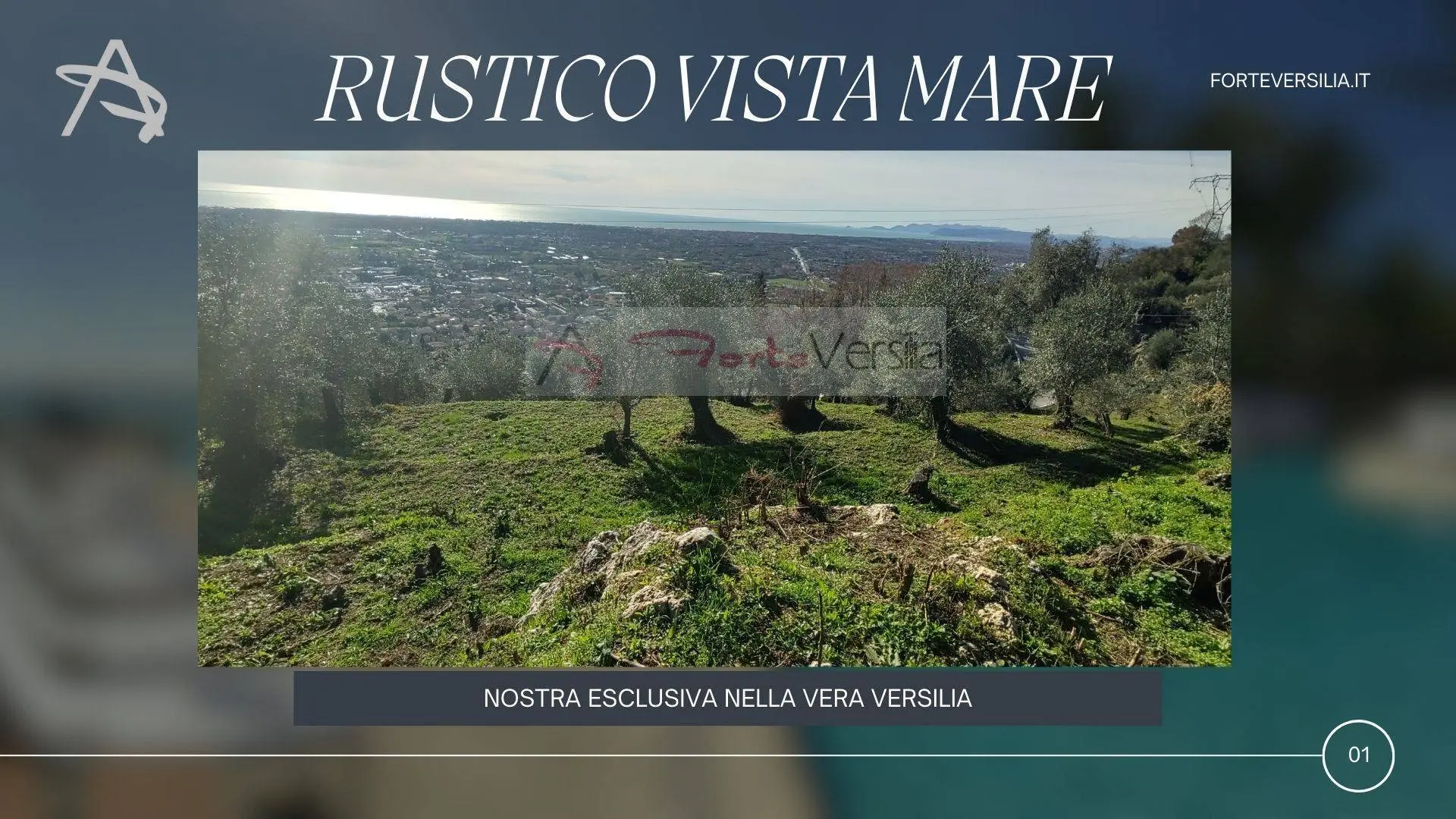 Immagine per Rustico/Casale in vendita a Pietrasanta  