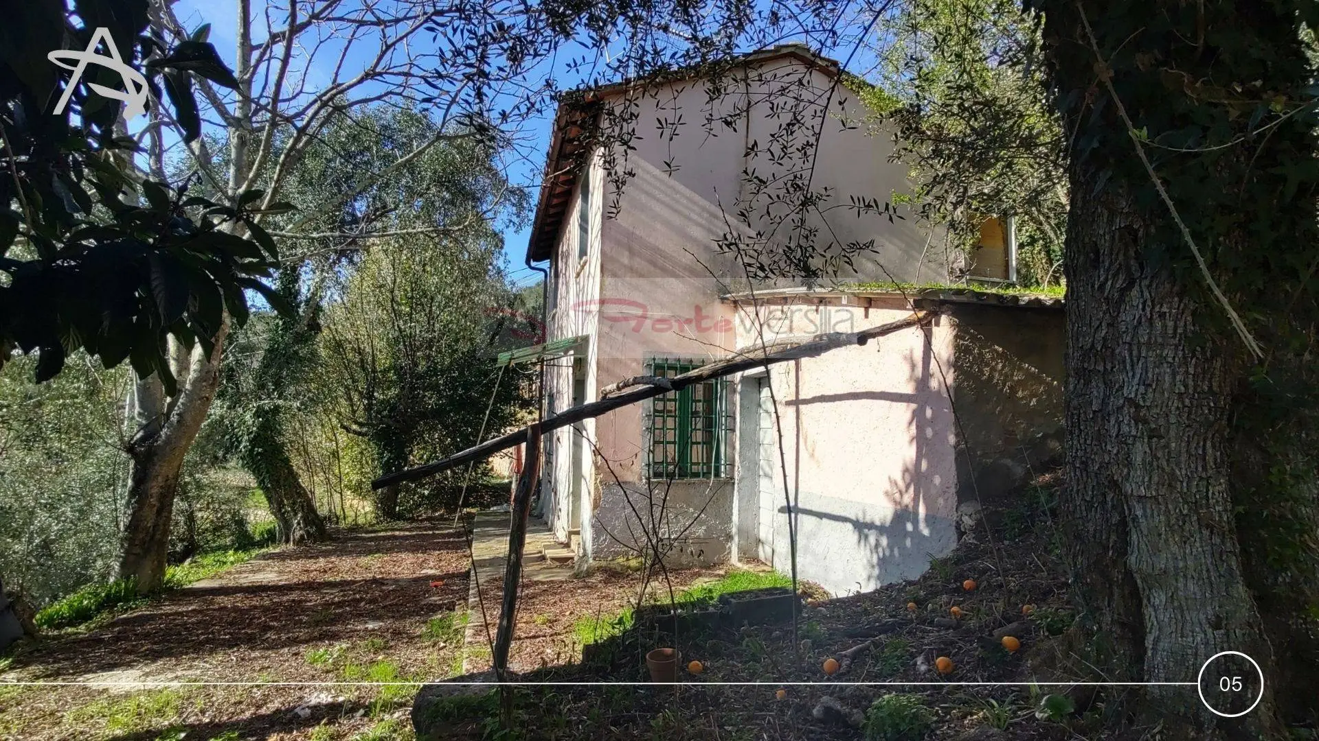 Immagine per Rustico/Casale in vendita a Pietrasanta  