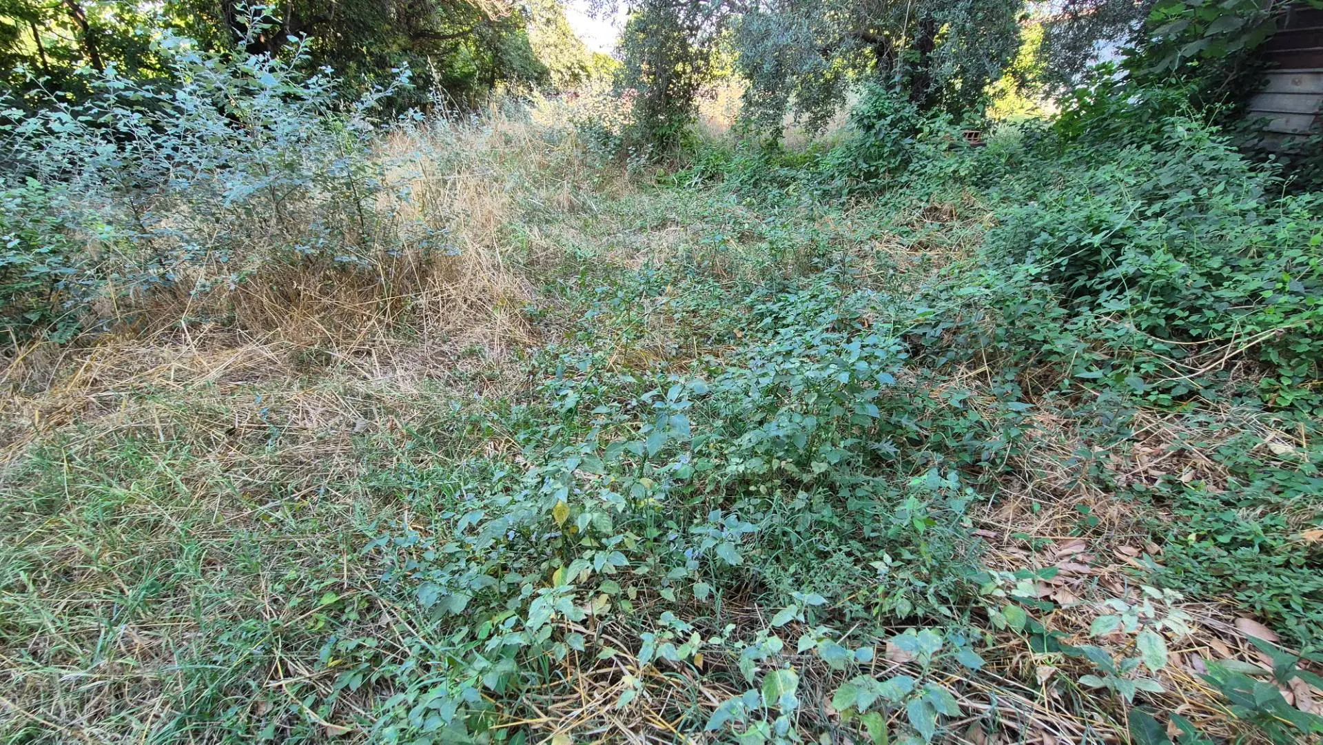 Immagine per Terreno Edificabile in vendita a Marcianise  