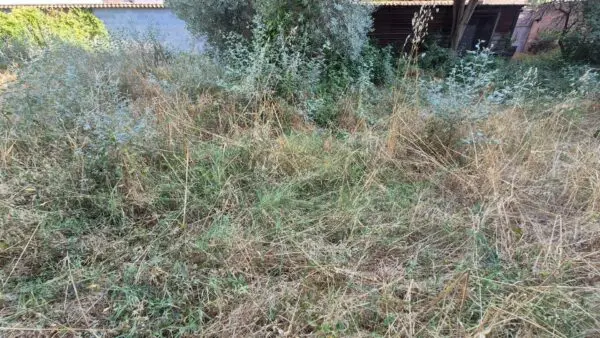 Terreno Edificabile via, Marcianise