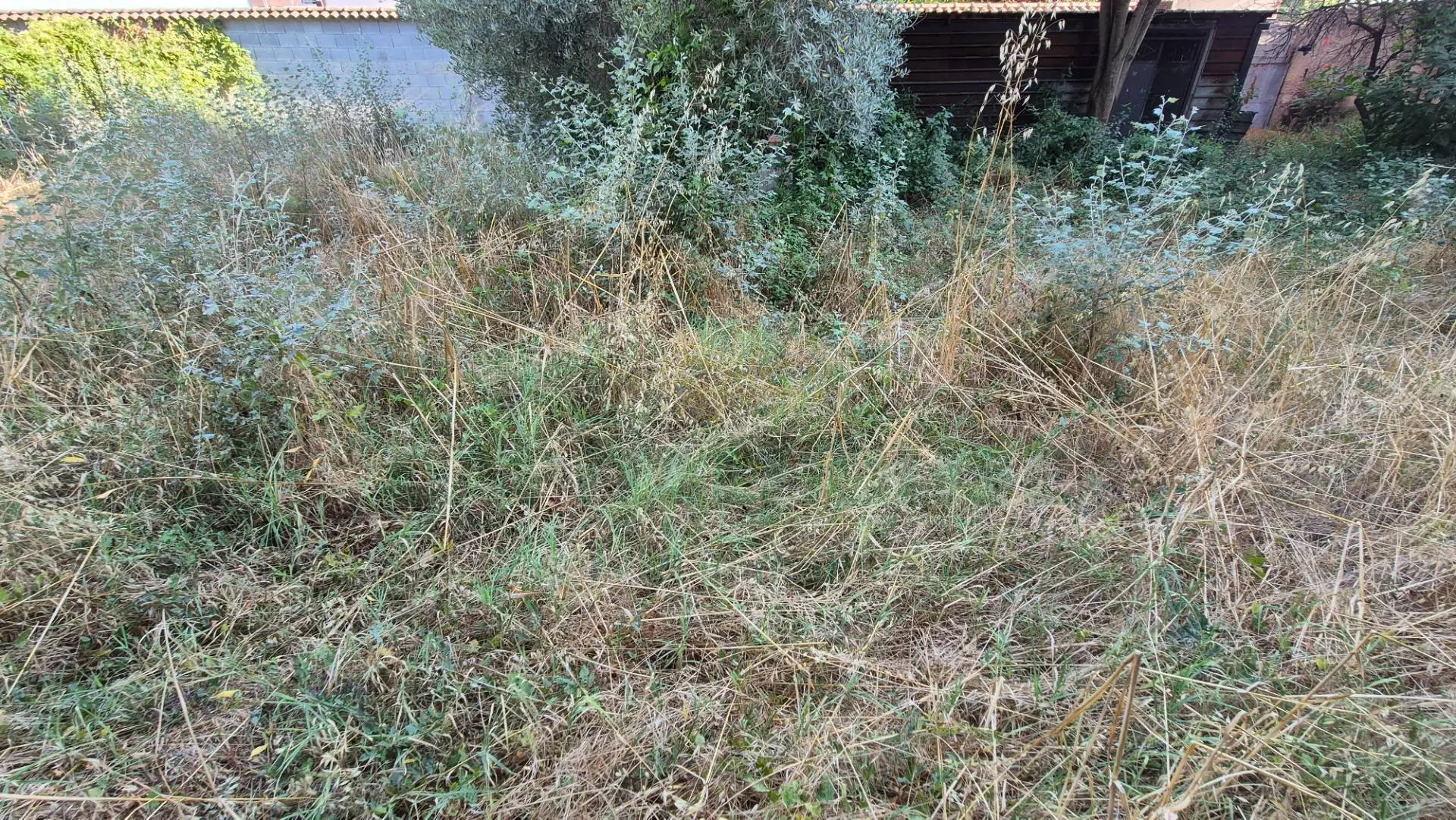 Immagine per Terreno Edificabile in vendita a Marcianise  